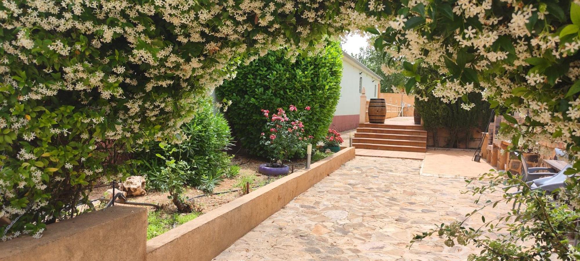 Casa Rural El Tejar San Clemente  Exterior photo