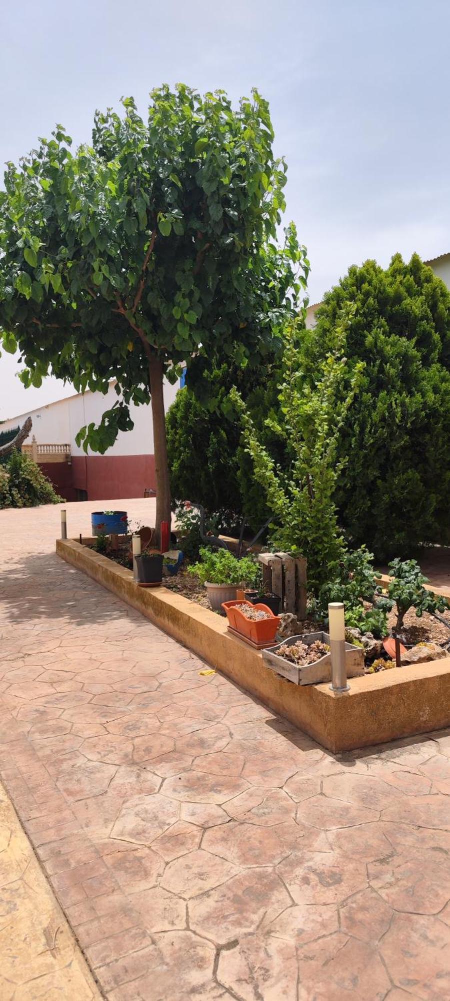 Casa Rural El Tejar San Clemente  Exterior photo